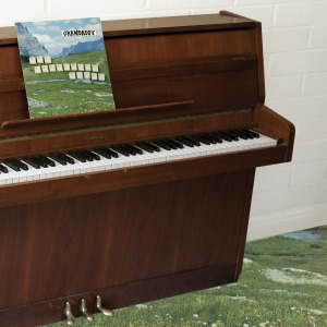 Grandaddy ‎/ The Sophtware Slump .​.​.​.​. On A Wooden Piano (CD)