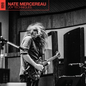 Nate Mercerau / Joy Techniques (CD, Deluxe Edition 보너스 트랙 포함, Japanese Pressing)(2-3일 내 발송 가능)