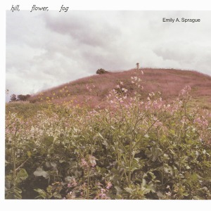 Emily A. Sprague / Hill, Flower, Fog (Vinyl)