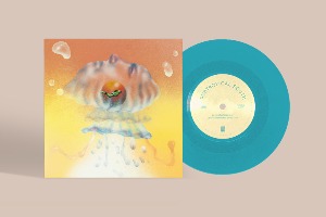 Sunset Rollercoaster, Michael Seyer / 亞熱帶的南方 Subtropical South EP (Vinyl, 7&quot;, Transparent Ice Blue Colored) *할인,바로 발송 가능.