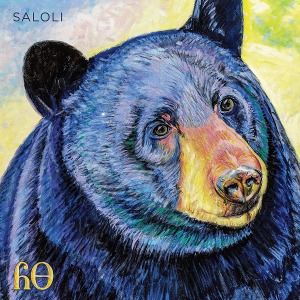 Saloli / Canyon (Vinyl)