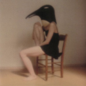 Various Artists / Penguin Cafe Orchestra -Tribute- (CD, Japanese Pressing)(2-3일 내 발송 가능)