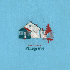 Pinegrove / Amperland, NY (Vinyl, 2LP,Gatefold Sleeve)(2-3일 내 발송 가능)