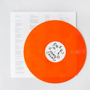 Rodrigo Amarante / Cavalo (Vinyl, Neon Orange Colored, DL)