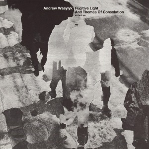 Andrew Wasylyk / Fugitive Light And Themes Of Consolation (Vinyl)(2-3일 이내 발송 가능)
