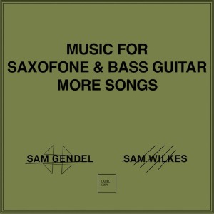 Sam Gendel, Sam Wilkes / Music for Saxofone and Bass Guitar More Songs (Vinyl)
