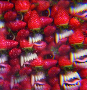 Thee Oh Sees / Floating Coffin (Vinyl)